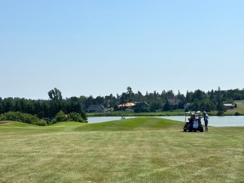 WGC2025 SaturdayRound OnTheCourse12