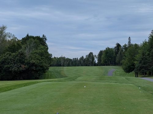 WGC2026 OnTheCourse1